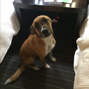 Meet your Posher, Maria